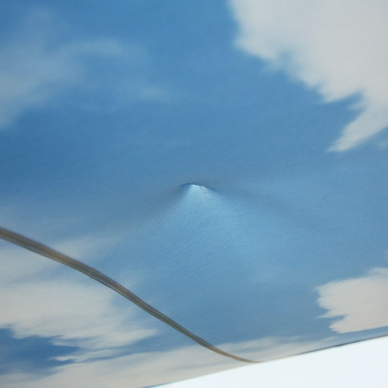 Canopy Tent - Tent Ceiling
