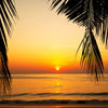 Tropical beach at beautiful sunset - Backdropsource