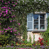 Wall and window with flowers in decorative park on island Izola Bella Backdrop - Backdropsource