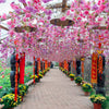 Cherry Blossom Park In The Spring - Backdropsource