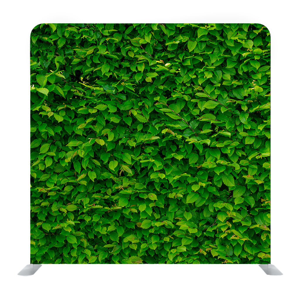 Green Wall Media wall - Backdropsource