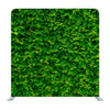Green Wall Media wall - Backdropsource