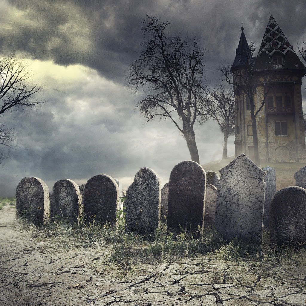 Haunted House Halloween Scary Party Design Background - Backdropsource