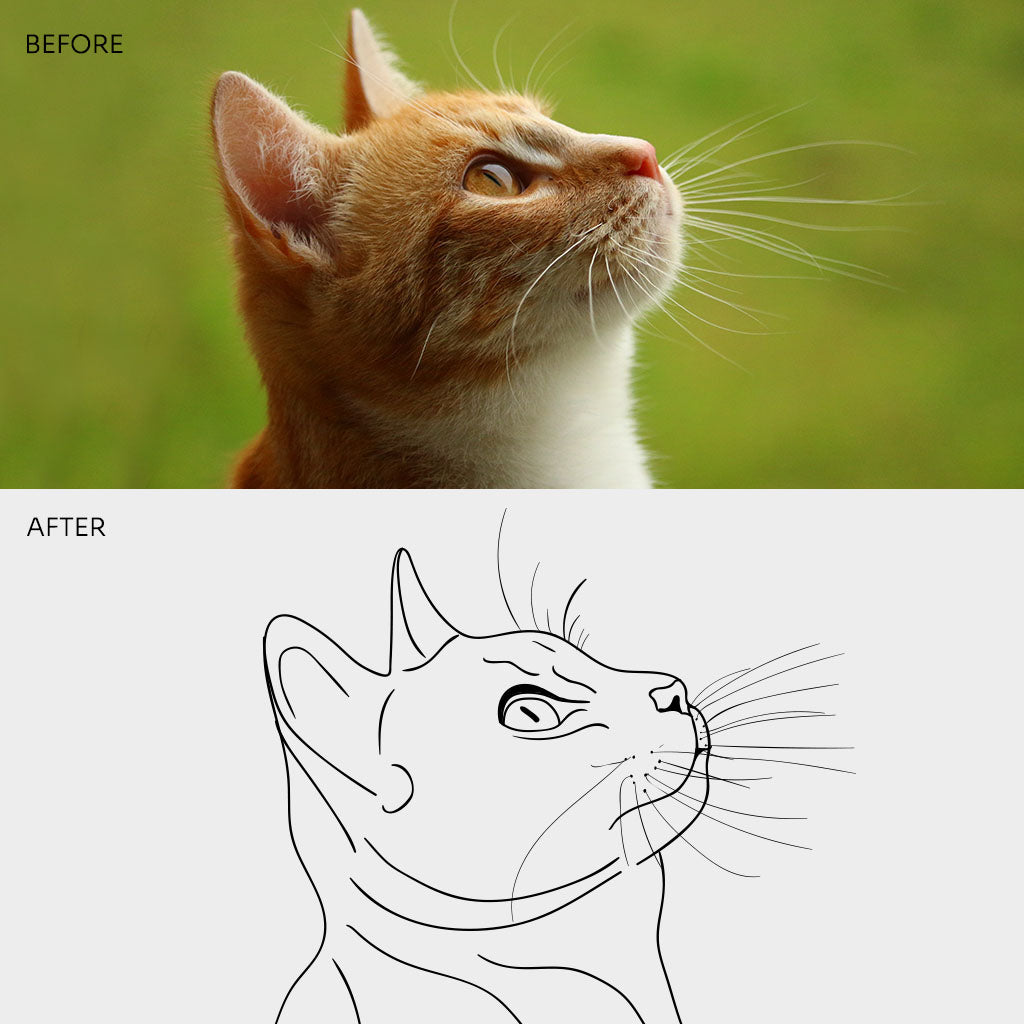 Vectorization - Backdropsource
