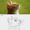 Vectorization - Backdropsource